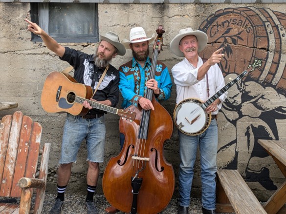Hypothetical Bluegrass Solution band performing